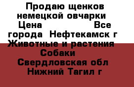 Продаю щенков немецкой овчарки › Цена ­ 5000-6000 - Все города, Нефтекамск г. Животные и растения » Собаки   . Свердловская обл.,Нижний Тагил г.